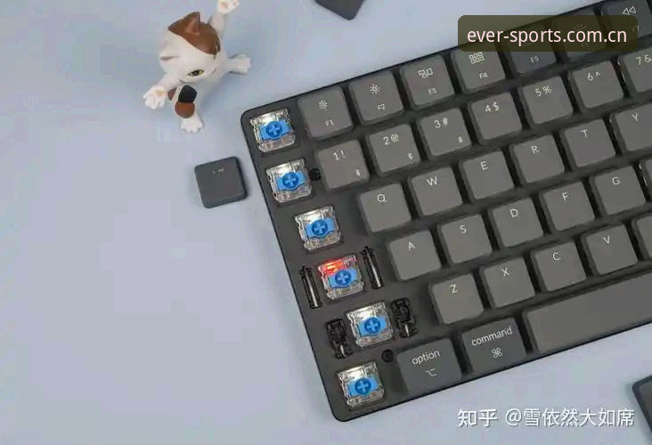 四季体育F7K3版使用指南：功能详解与实用技巧